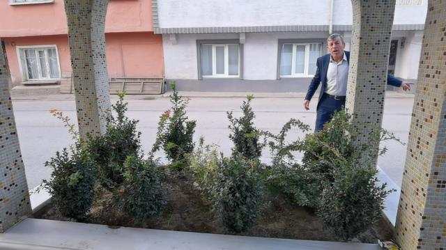 Gizemli mezar köyü ikiye böldü! O mezar aşkından ölen kıza mı ait? Gizemli mezar köyü ikiye böldü! O mezar aşkından ölen kıza mı ait?
