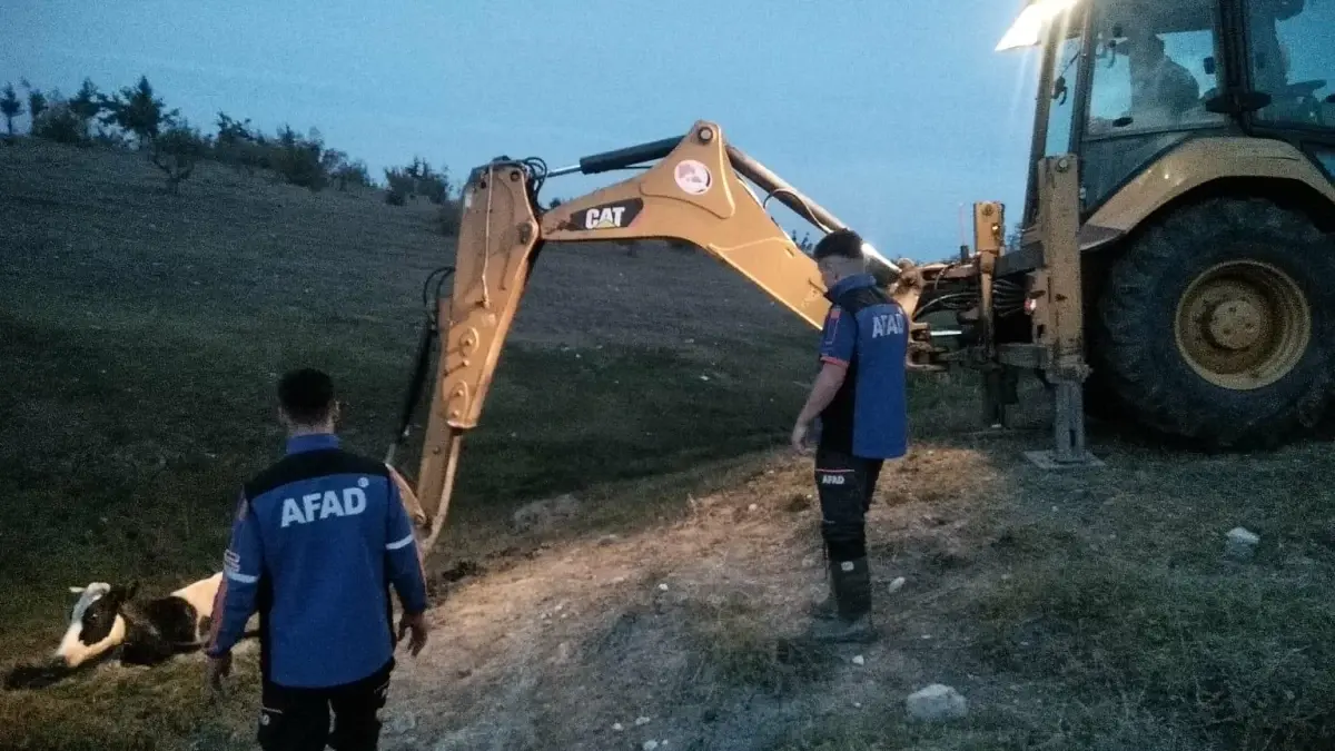 Kırklareli haberleri: Kırklareli\'nde çamura saplanan ineği AFAD ekipleri kurtardı