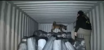 Meksika'dan Ambarlı Limanı'na gelen gemide 1.5 ton uyuşturucu ele geçirildi
