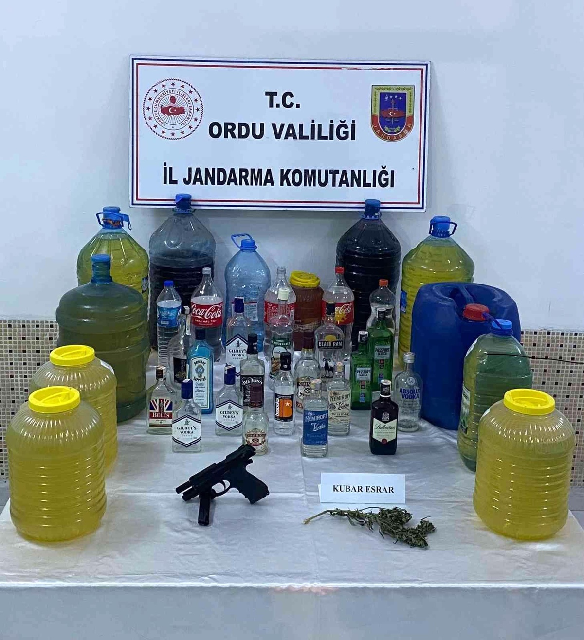 Ordu haber | Ordu\'da Gürcistan uyruklu iki kaçakçı sınır dışı edildi