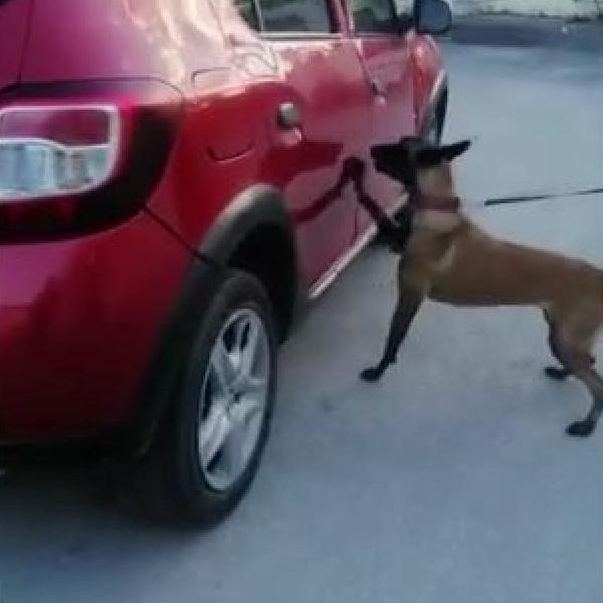 Son dakika haberleri | Otomobilde 3 kilo kokain ele geçirildi, sürücü ile eşi tutuklandı