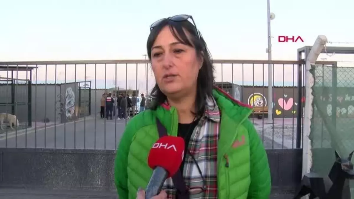 BELEDİYE EKİPLERİ İLE HAYVANSEVERLER ARASINDA \'KÖPEK TOPLAMA\' GERGİNLİĞİ