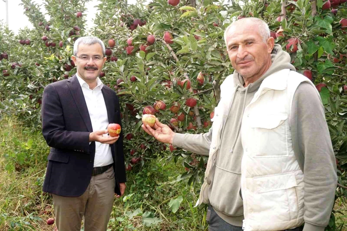 Denizli yerel: Çivril elması Cumhurbaşkanı Erdoğan\'a hediye edildi
