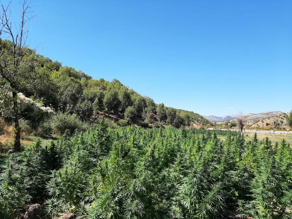 Son dakika gündem: Eren Abluka Sonbahar-Kış 2 Operasyonu\'nda 565 kilogram uyuşturucu ele geçirildi