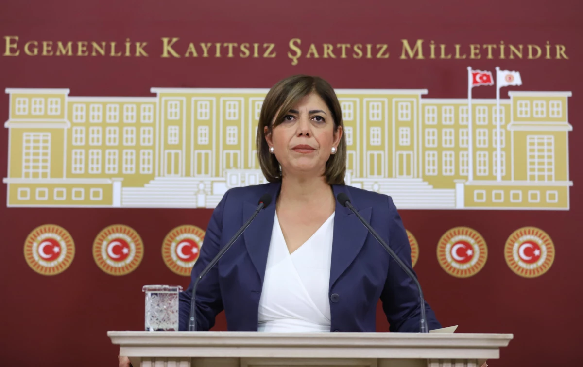 HDP Grup Başkanvekili Beştaş, gündemi değerlendirdi Açıklaması