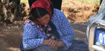 Kayıp liseli Hakan'ın zeytinlikte başından vurulmuş cesedi bulundu