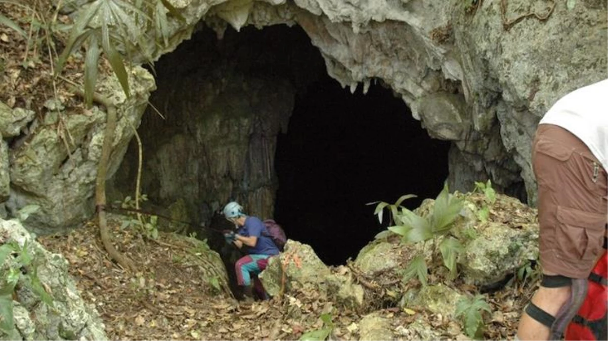 Mağarada bulunan 118 kişiye ait 10 bin kemiğin gizemi çözüldü! Okurken tüyleriniz ürperecek