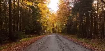 NEW HAMPSHIRE / VERMONT - ABD'de sonbahar renkleri doğaya yansıdı