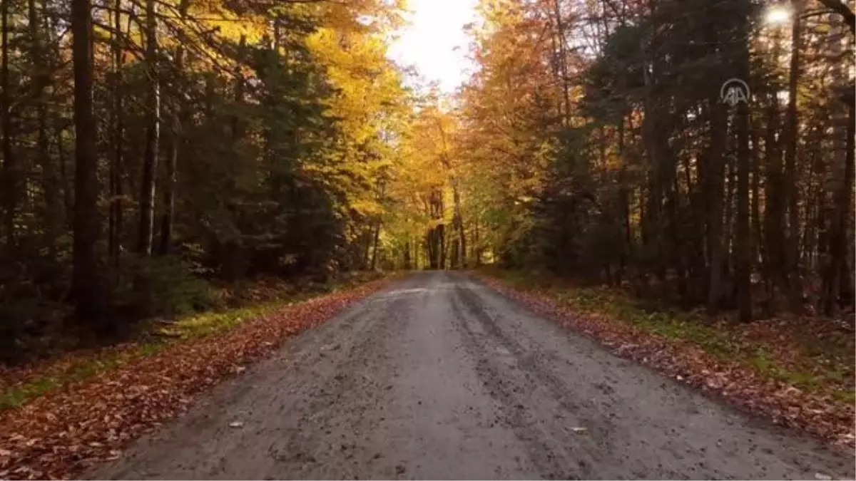 NEW HAMPSHIRE / VERMONT - ABD\'de sonbahar renkleri doğaya yansıdı