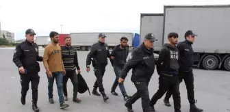 Tesisteki ağaçlıkta saklanan 4 kaçak göçmen yakalandı