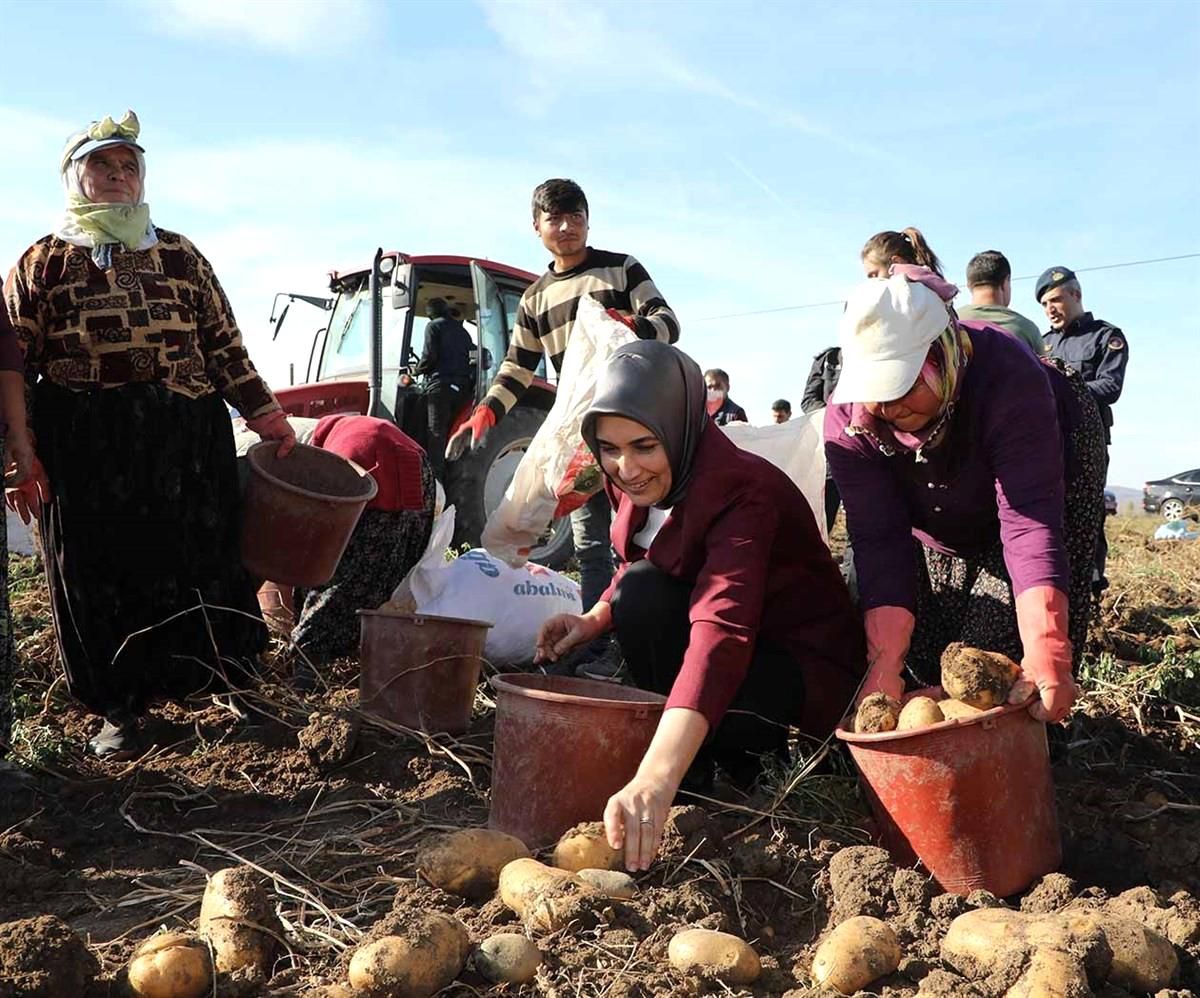 Vali Yiğitbaşı: "Patates üretiminde Türkiye\'de üçüncü sıradayız"
