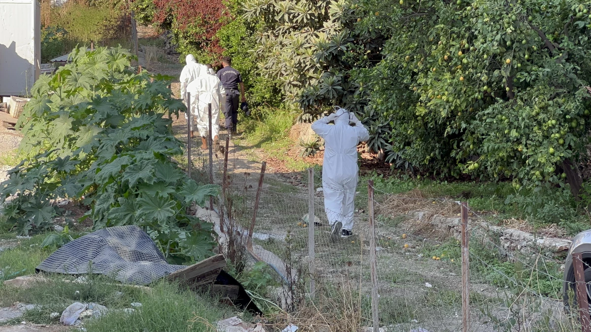 Antalya haber! Antalya\'da narenciye bahçesinde erkek cesedi bulundu