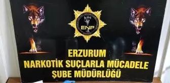 Arabanın silecek su haznesine sıvı metamfetamin sakladılar, polisten kaçamadılar