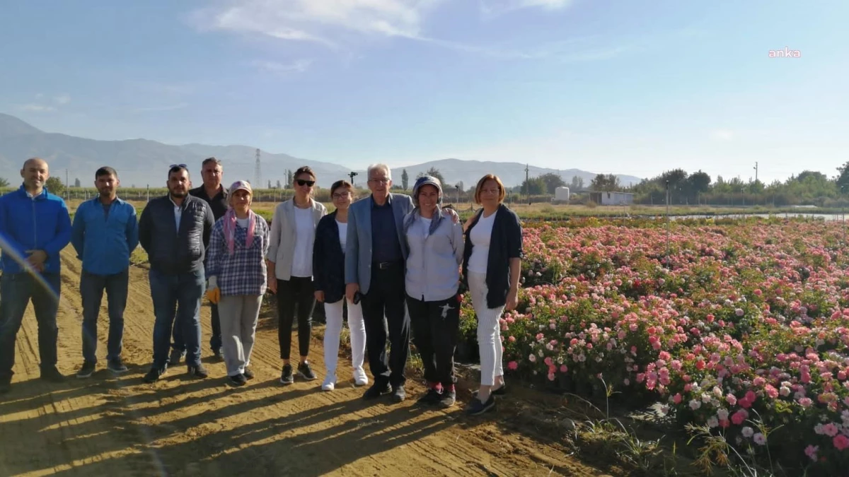 İzmir yerel haberleri | Ödemiş Belediyesi\'nin Otamış Üretim Fidanlığından Ankaraya Bitki Sevkiyatı Başladı