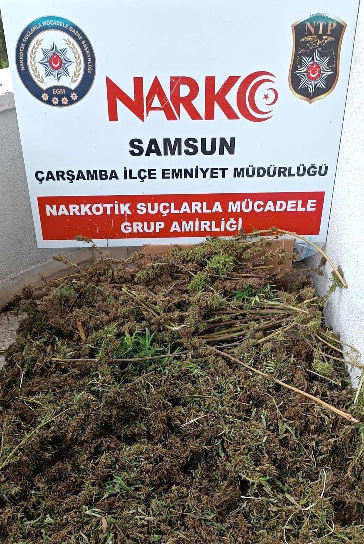 Son dakika haber: Samsun\'da 9 kilo 975 gram esrar ele geçirildi: 8 gözaltı