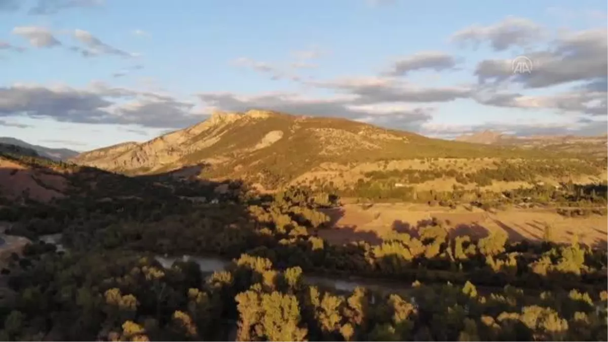 Tunceli haberleri: Tunceli\'de doğa tutkunları Pülümür Vadisi\'ni atlı turlarla geziyor