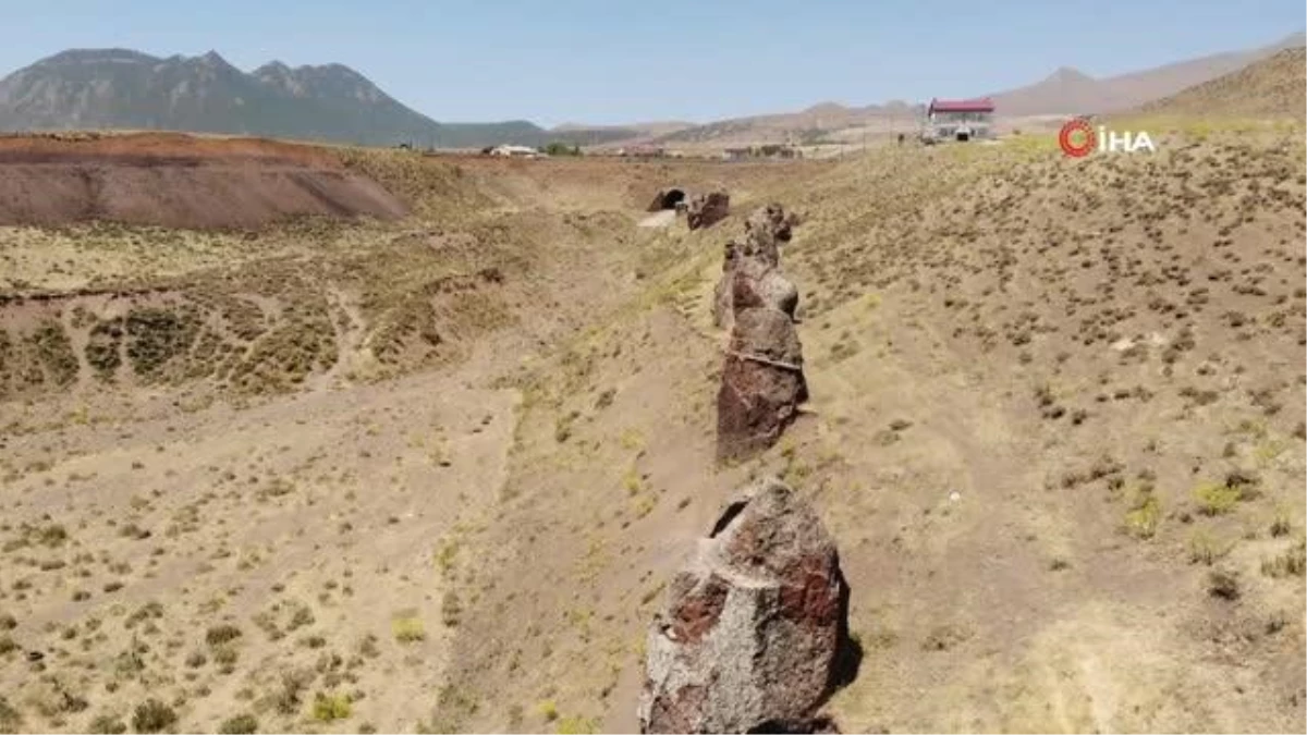 Asırlık \'Nemrut Develeri\' yok olma tehlikesiyle karşı karşıya