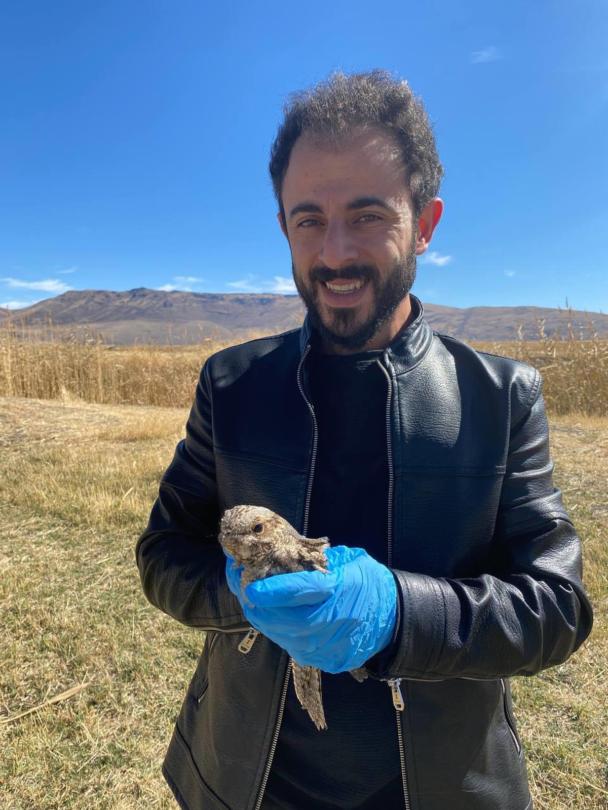 Erzurum gündem haberi | Erzurum\'da tedavisi tamamlanan çobanaldatan kuşu doğaya salındı