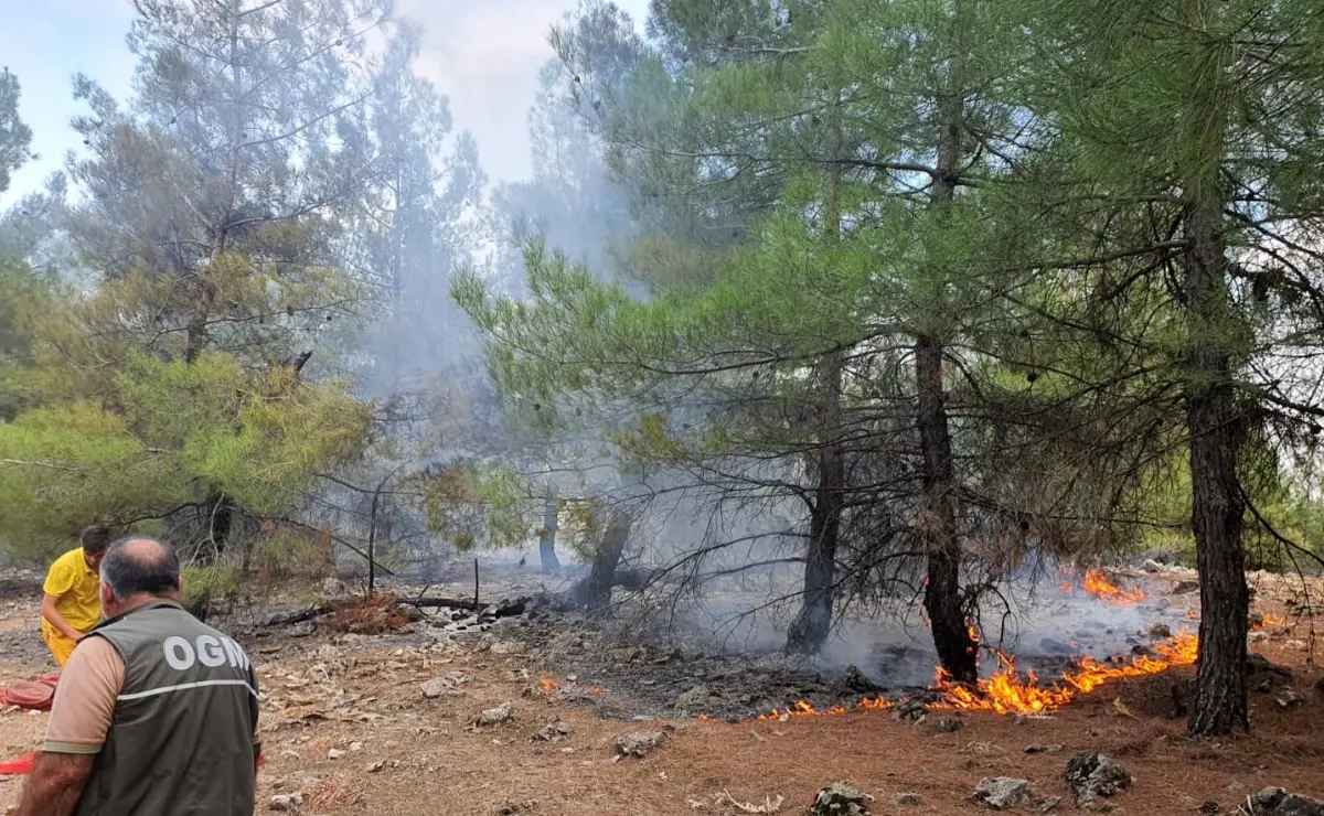 Son dakika gündem: Kahramanmaraş\'ta çıkan örtü yangını söndürüldü