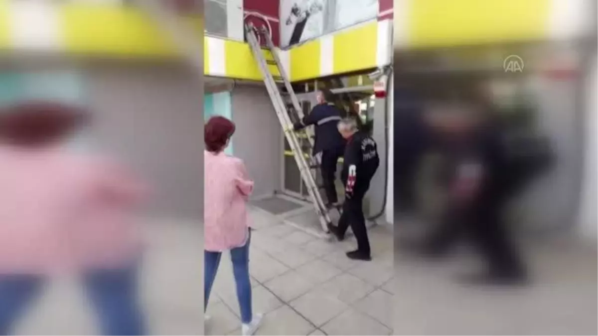 Klima ile duvar arasında sıkışan kedi kurtarıldı