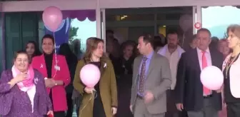 Meme kanserine dikkat çekmek için pembe balon uçurdular