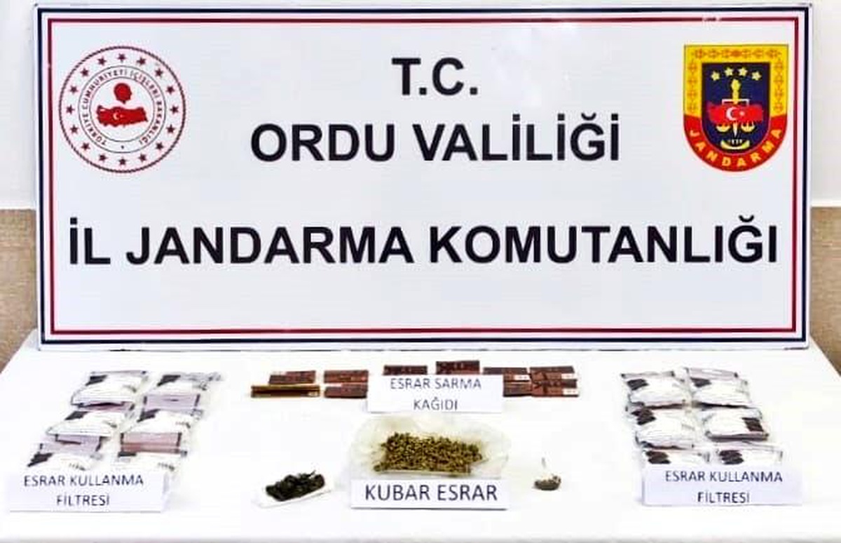 Ordu haber: Ordu\'da uyuşturucu operasyonunda 1 kişi tutuklandı