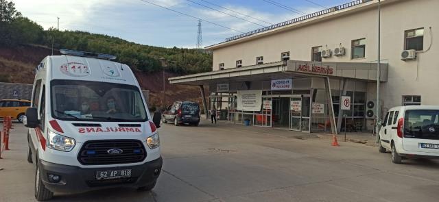 Tunceli'de arıların soktuğu adam hayatını kaybetti