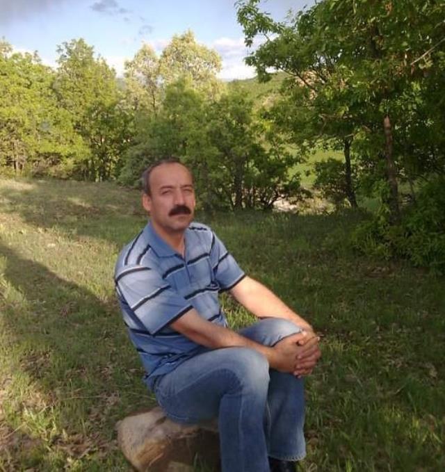 Tunceli'de arıların soktuğu adam hayatını kaybetti