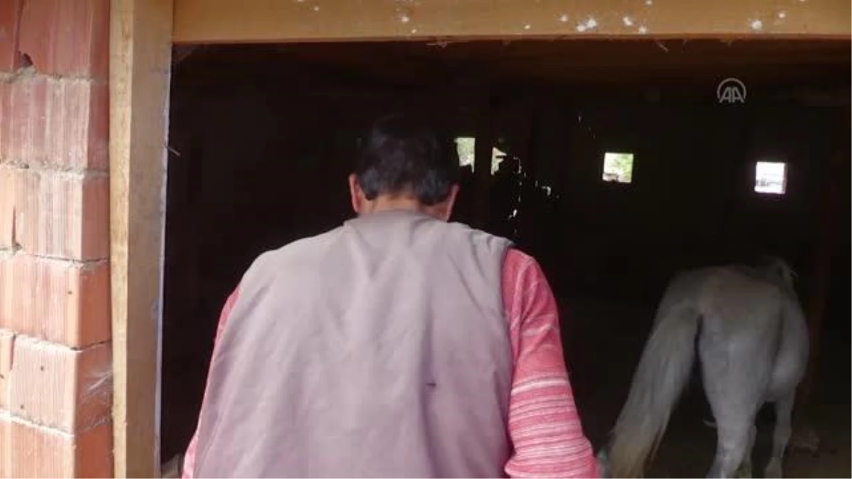 AFYONKARAHİSAR - İscehisar\'da sel baskınında ağılı hasar gören çiftçiye çadır verildi