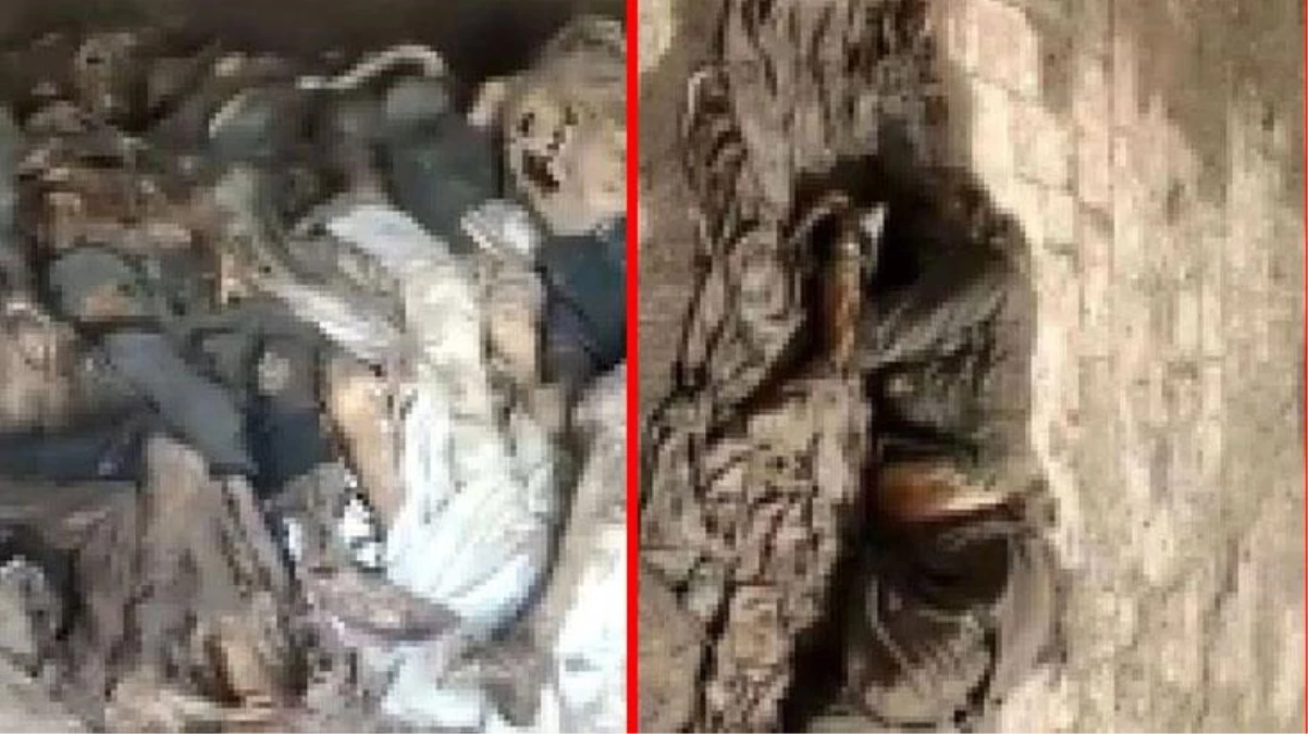 Pakistan\'da hastane çatısında korkunç görüntüler! Çürümeye yüz tutmuş cesetler ve insan parçaları bulundu