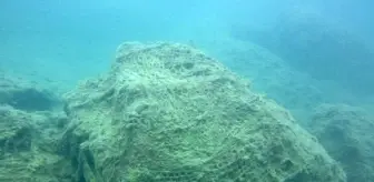 'Hayalet ağ'lar deniz ekosistemini tehdit ediyor