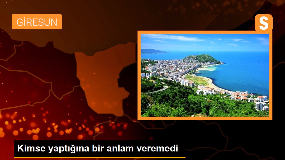 Kimse yaptığına bir anlam veremedi