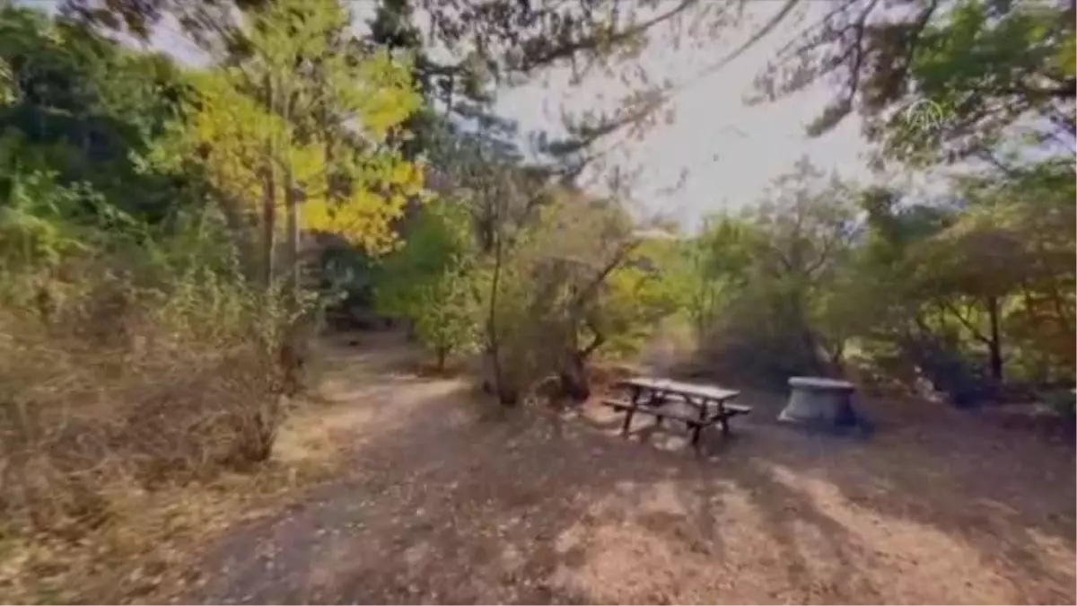 Ankara gündem: Kızılcahamam sonbahar renklerine büründü