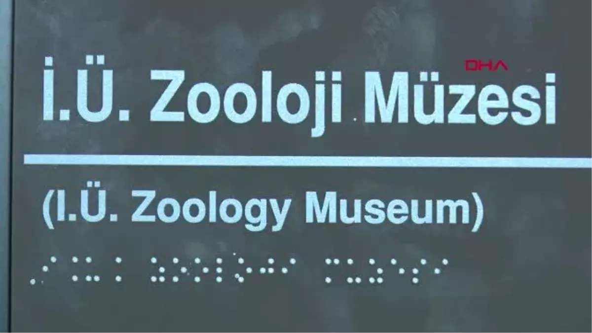 İSTANBUL--TÜRKİYE\'NİN İLK ZOOLOJİ MÜZESİ 7 YIL SONRA YENİDEN AÇILIYOR