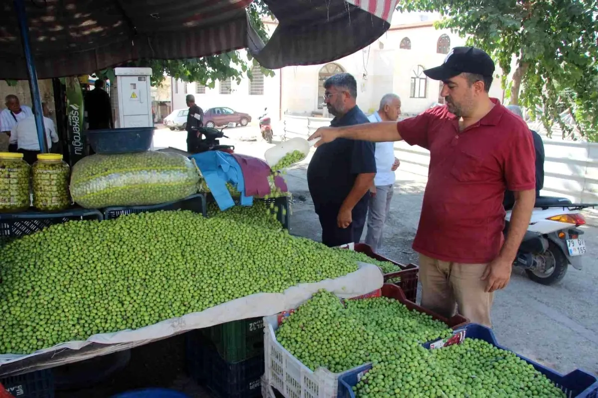 Kilis haberi... Kilis\'te yerli sofralık zeytin tezgahlarda yerini aldı