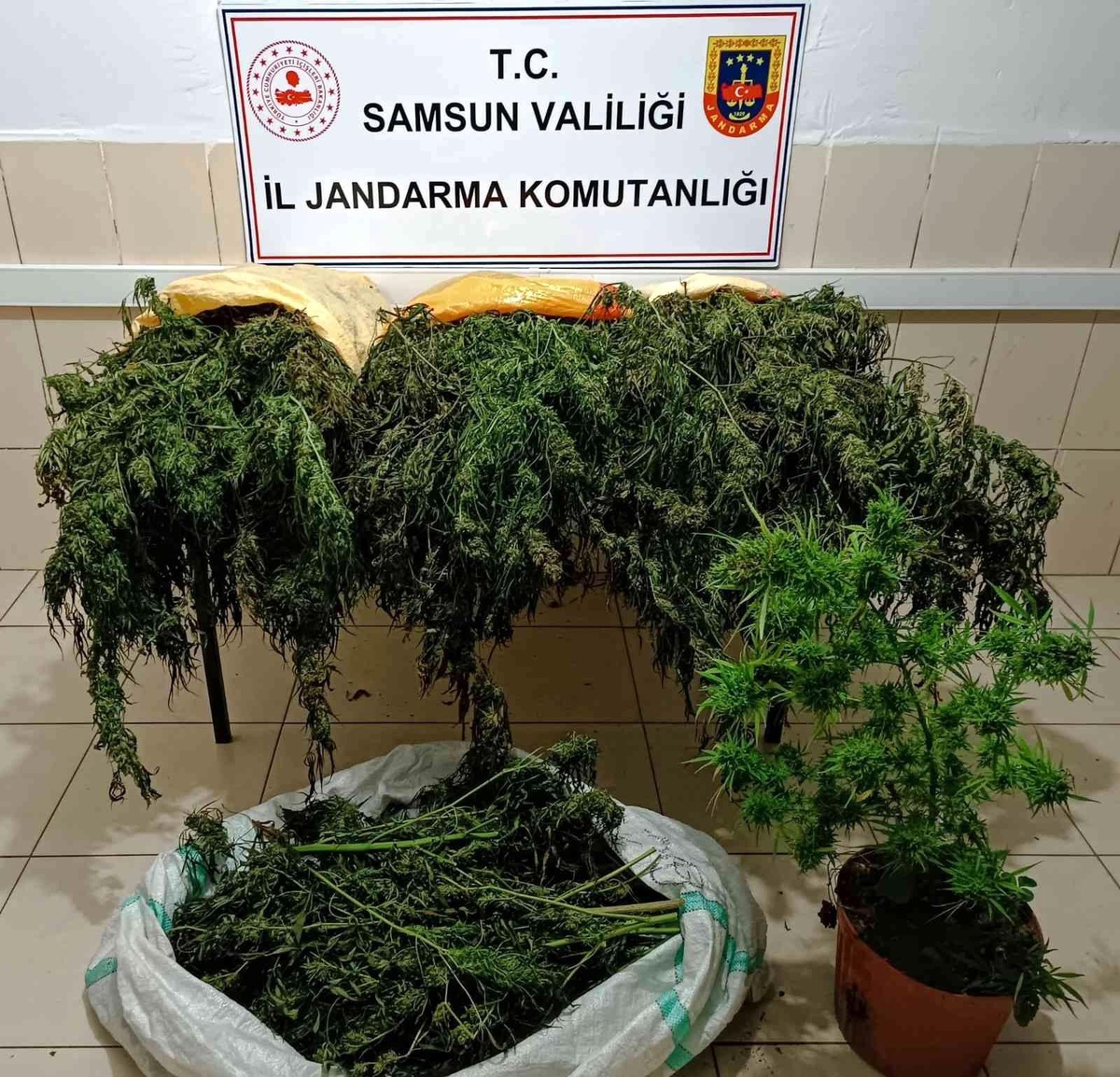 Samsun haber | Samsun\'da 15 kilo kubar esrar ele geçirildi