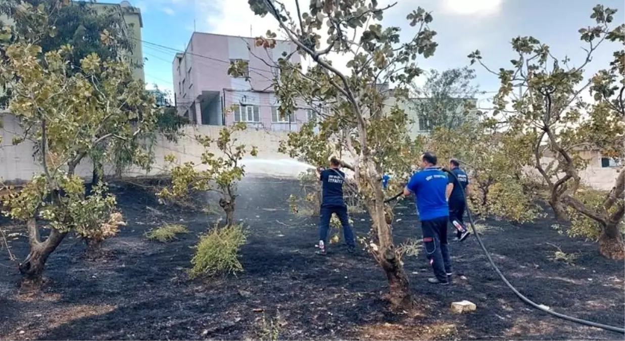 Son dakika haberi | Siirt\'te mezarlıkta yangın