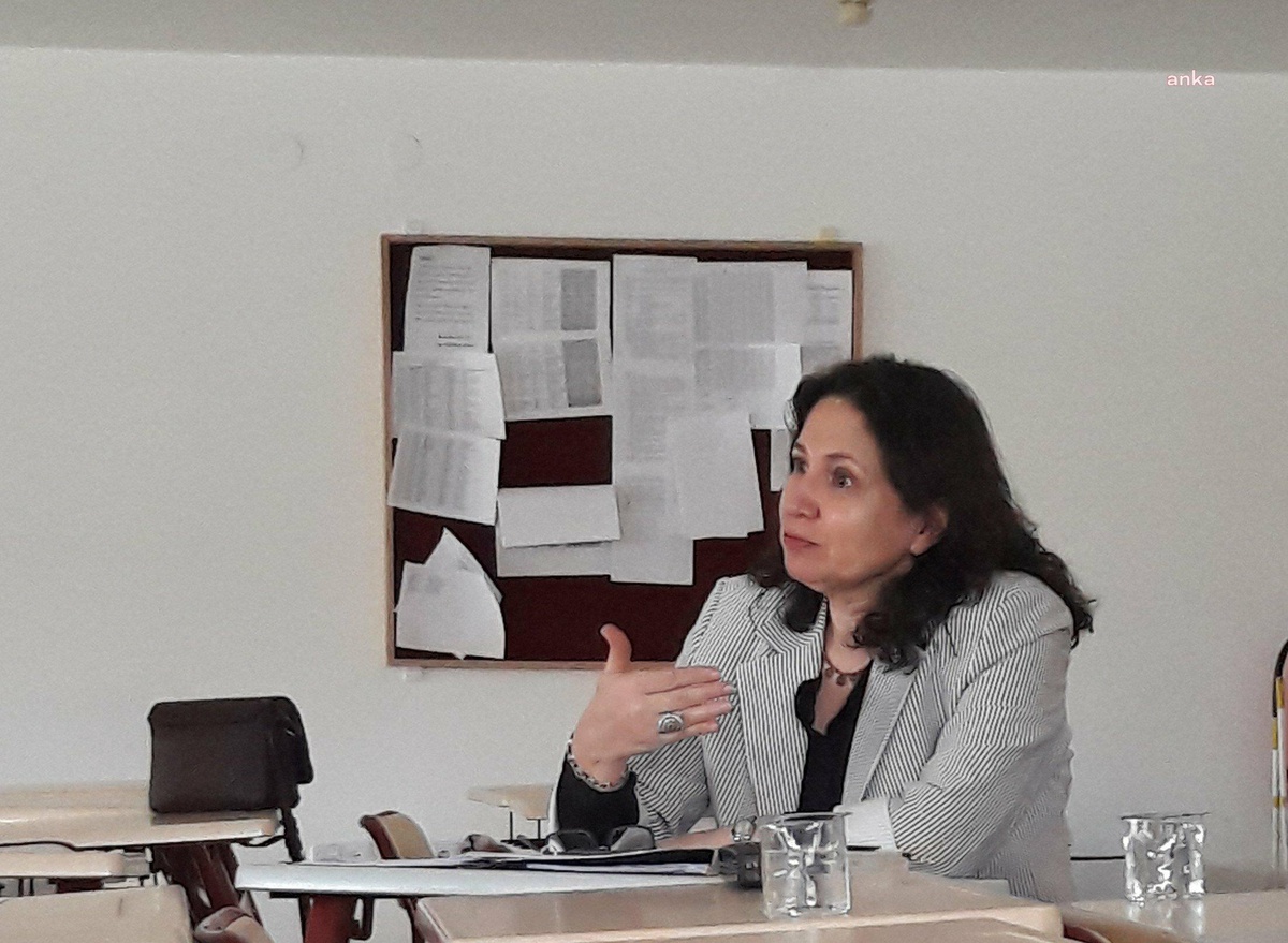 Ceza Hukuku Profesörü Türkan Yalçın, Sansür Yasasının 29. Maddesini Değerlendirdi: "Zihnimize Karakol Kuruluyor"