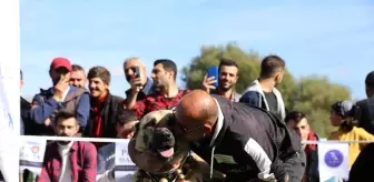 Doğu Karadeniz'in ilk Türk Çoban, Av ve Bekçi Köpekleri Irk Standartları Yarışması düzenlendi