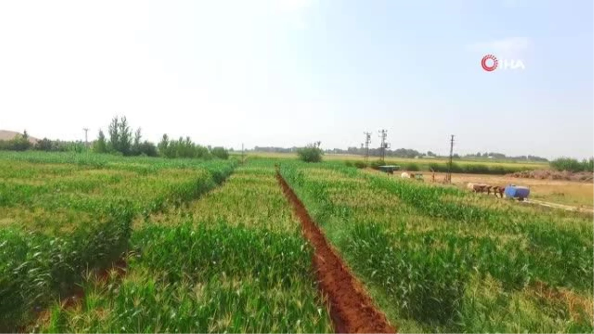 Şanlıurfa haber... Şanlıurfa\'da yerli ve milli doğal gübre hamlesi