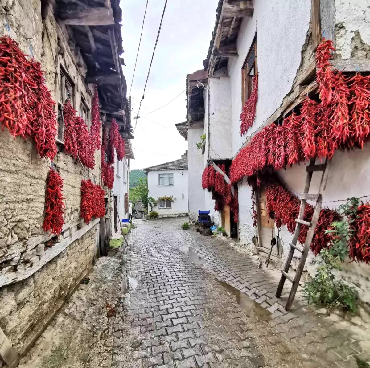 Bilecik yerel haberleri: 100 fotoğraf sever ve fotoğraf sanatçılarının rotası Bilecik oldu
