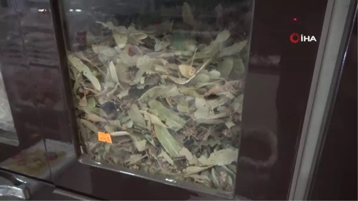 Aktardan soğuk hava tavsiyesi: 'Zencefil, zerdeçal, narçiçeği, kuşburnu tüketin'