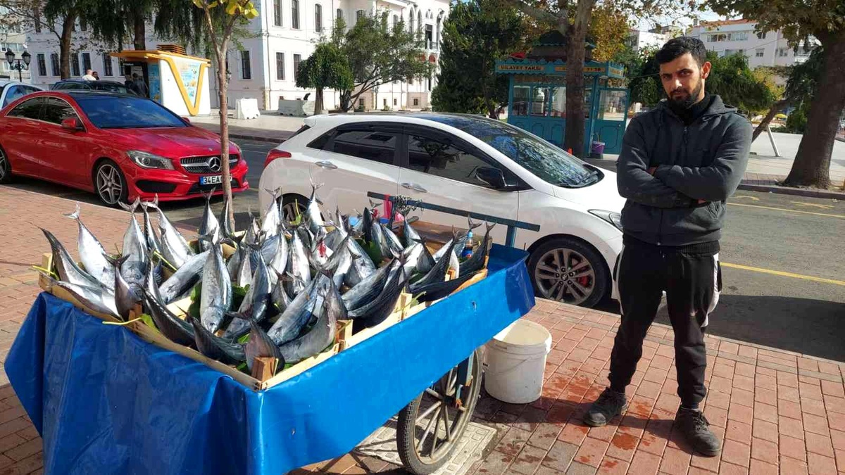 Tekirdağ haber | İki kişiyi doyurabilen boyuttaki bir palamut Tekirdağ\'da 50 lira
