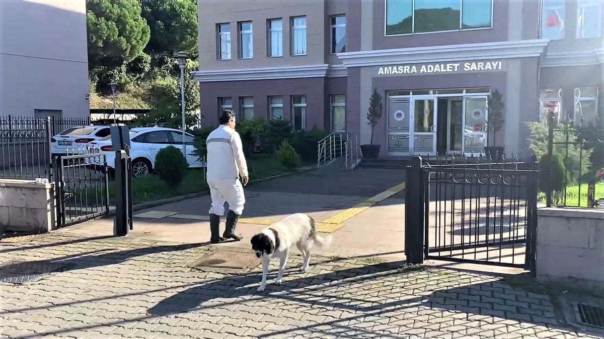 Son dakika haberi: Maden kazası soruşturmasında ifadeler alınmaya devam ediyor