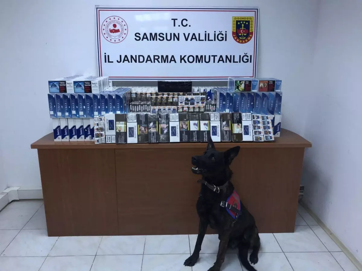 Samsun gündem haberi | Samsun\'da uyuşturucu operasyonlarında 65 kişi gözaltına alındı