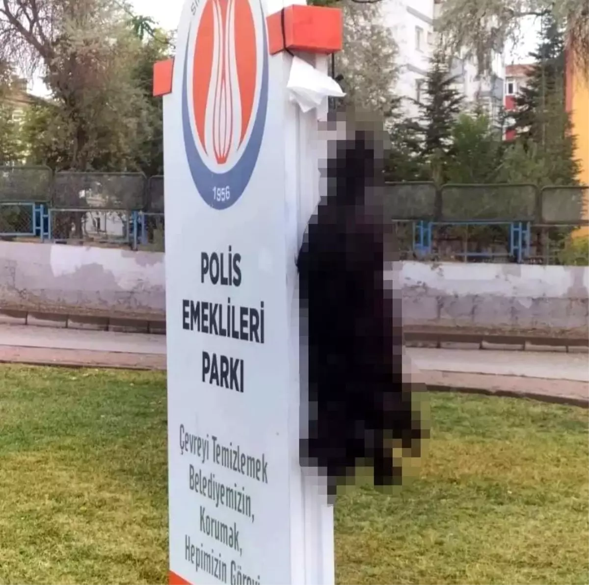 Ankara 3. sayfa haberi: Sincan\'da ölü bulunan kedilerin zehirlendiği iddia edildi