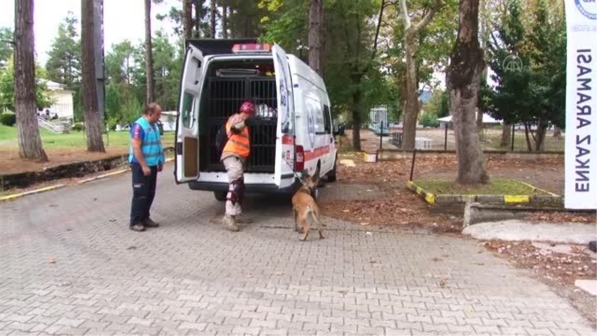 Sakarya haberi... Türkiye\'nin en hassas burunlu arama kurtarma köpekleri Sakarya\'da belirleniyor