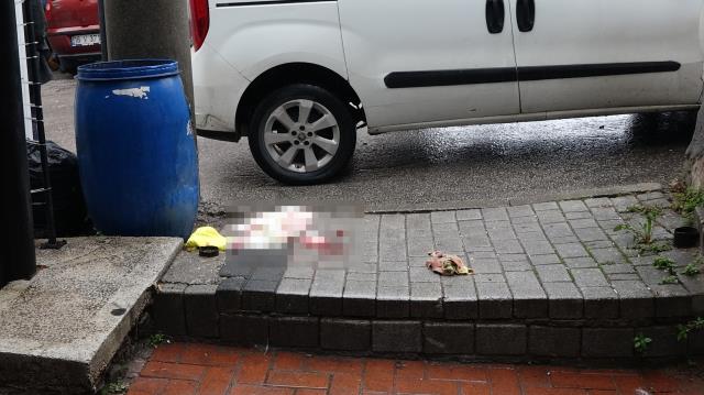 'Yeğenimi neden benim istediğim gence vermiyorsun?' diyen amca, çıkan kavgada canından oldu 'Yeğenimi neden benim istediğim gence vermiyorsun?' diyen amca, çıkan kavgada canından oldu