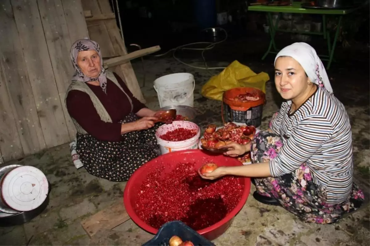 Aydın yerel haberi: Aydın\'da nar ekşisi telaşı başladı