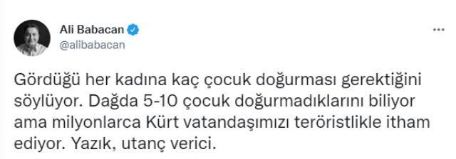 Babacan'dan Cumhurbaşkanı Erdoğan'ın Çelebi'ye yaptığı çocuk tavsiyesine tepki: Kürt vatandaşımızı teröristlikle itham ediyor